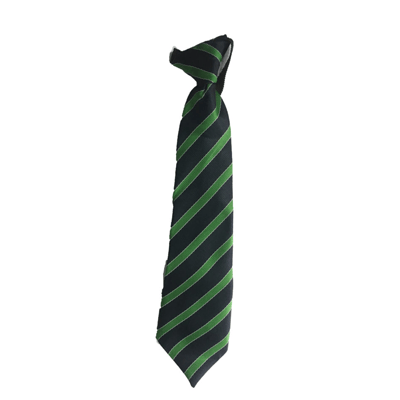 Tie Zee School