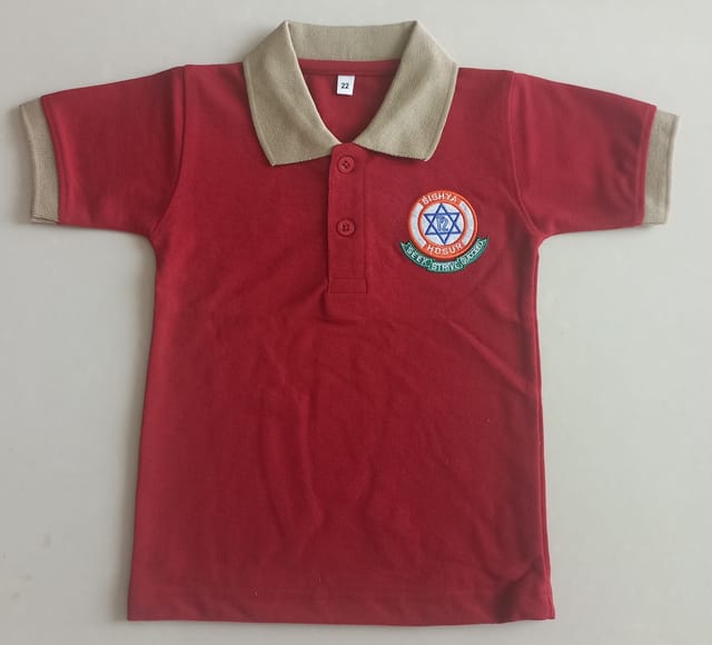 Sishya Boys Maroon T Shirt with Beige Collar - LKG and UKG