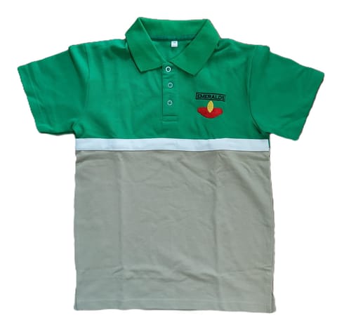 Sishya house t-shirt emeralds