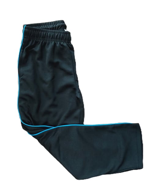 sishya track pant Saphire