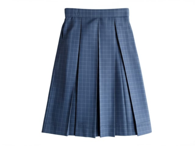 Samsidh Blue Skirt - Andhra Pradesh