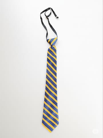Samsidh Tie - Andhra Pradesh