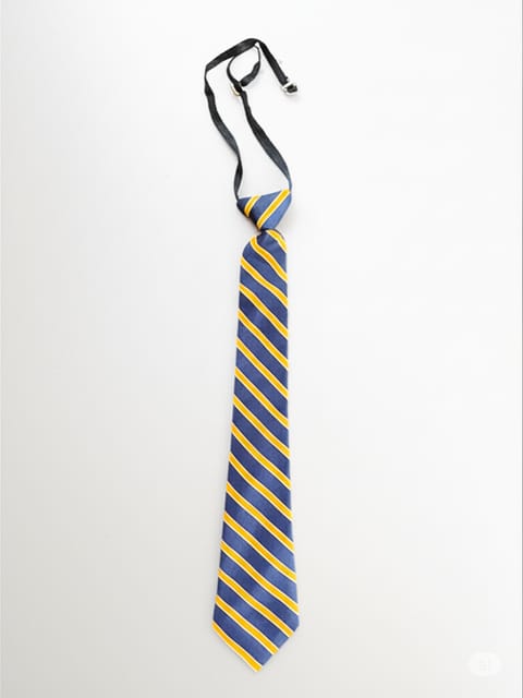 Samsidh Tie - Andhra Pradesh
