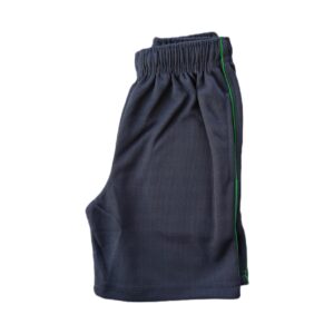 GT SPORTS SHORTS GREEN